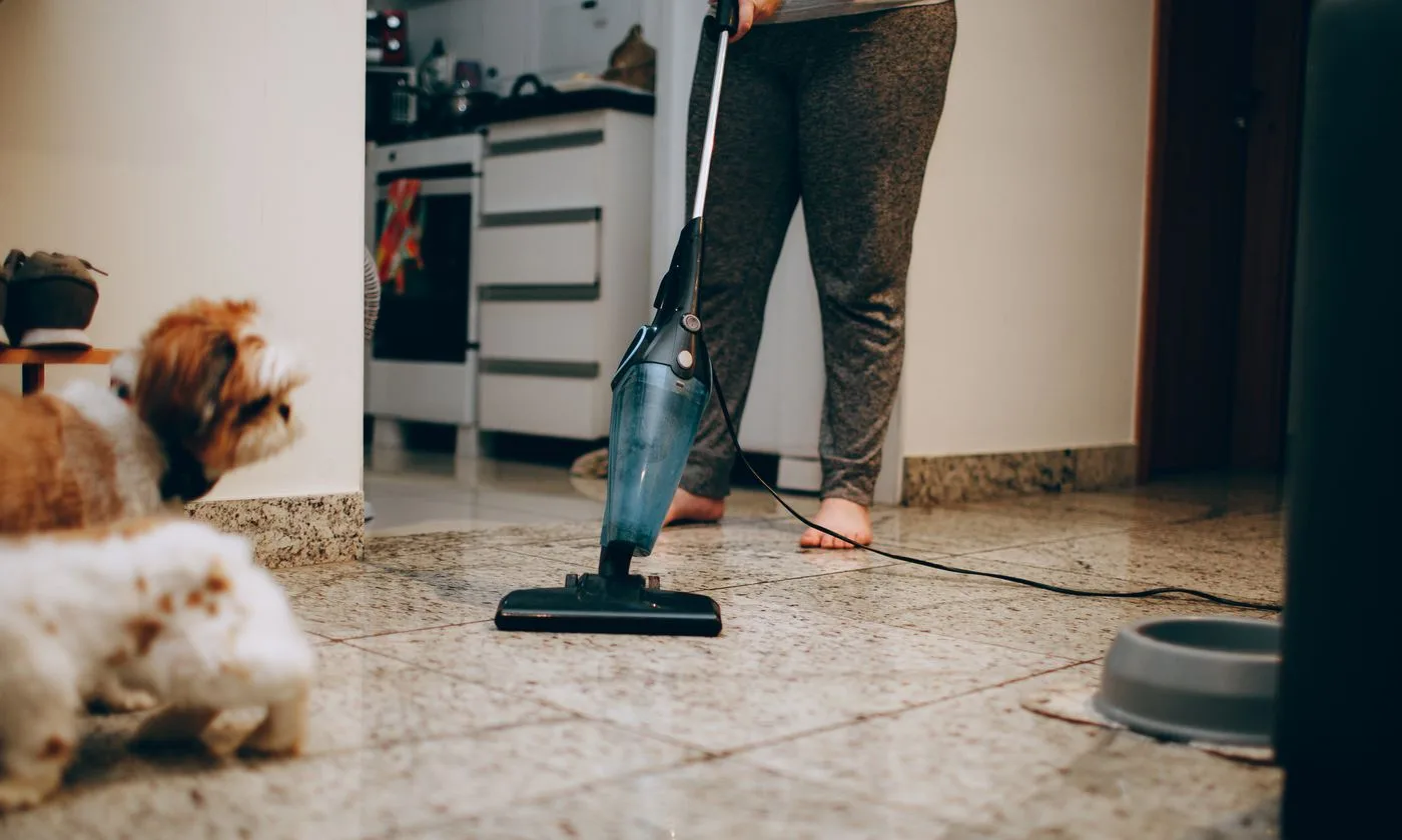 Carpet Cleaning